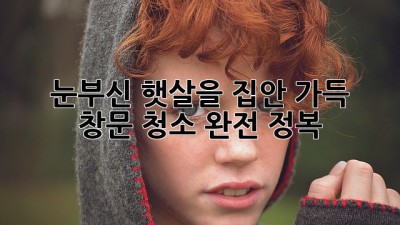 ✨ 눈부신 햇살을 집안 가득! 창문 청소 완전 정복 ☀️