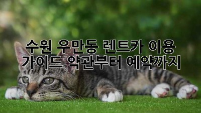 수원 우만동 렌트카 이용 가이드: 약관부터 예약까지