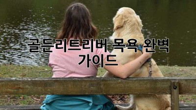골든리트리버 목욕, 완벽 가이드!
